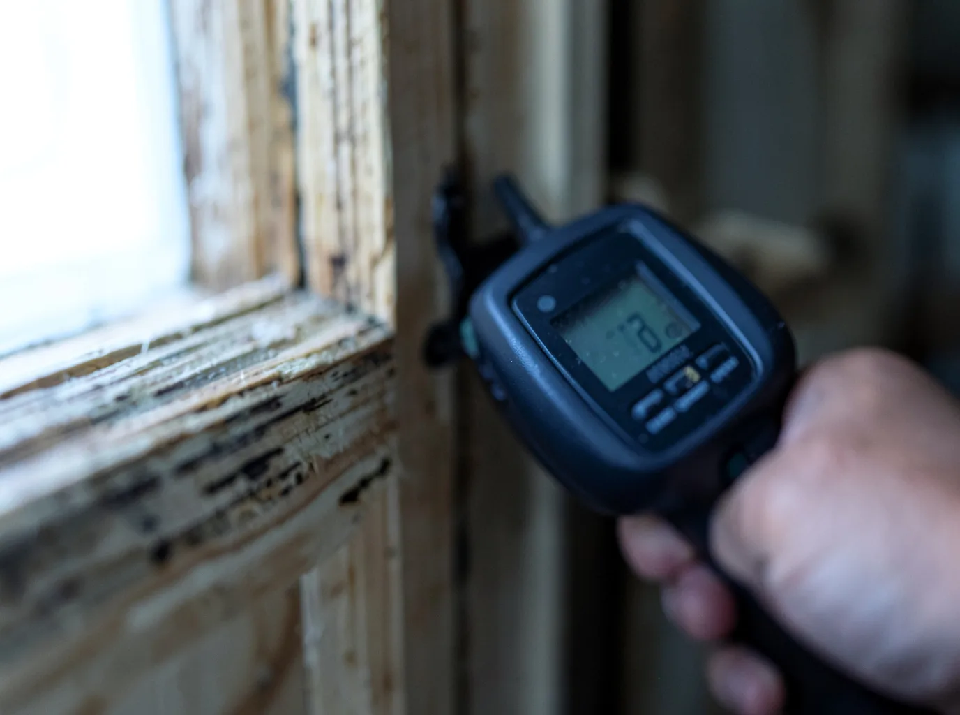 Moisture Inspection And Documentation in Catlettsburg, KY